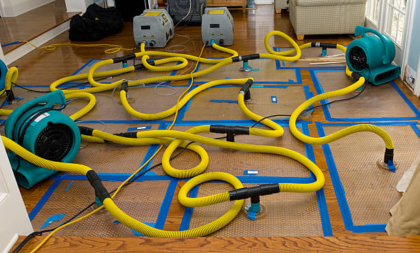 Professional Basement Flood Cleanup technician working in Trinway, OH